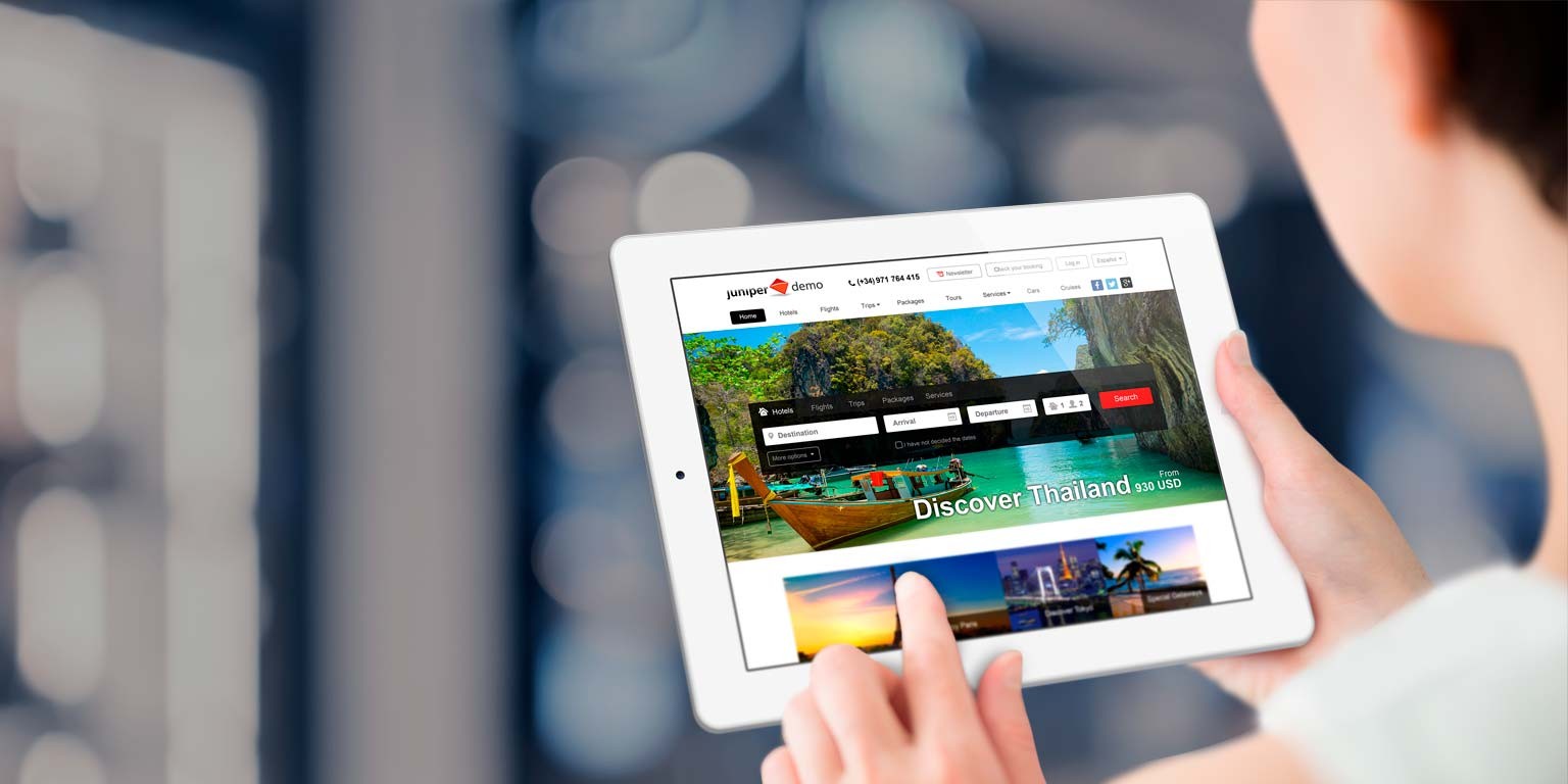 Why travel portal development