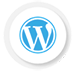 WordPress Web Development Company